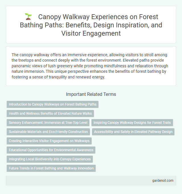 Canopy Walkway Experiences on Forest Bathing Paths: Benefits, Design Inspiration, and Visitor Engagement