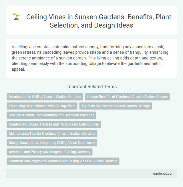 Ceiling Vines in Sunken Gardens: Benefits, Plant Selection, and Design Ideas