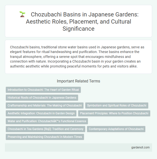 Chozubachi Basins in Japanese Gardens: Aesthetic Roles, Placement, and Cultural Significance