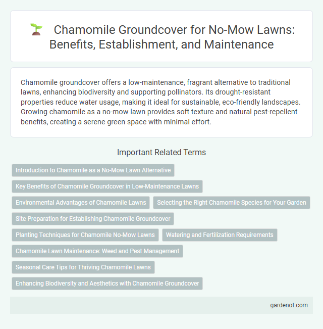 Chamomile Groundcover for No-Mow Lawns: Benefits, Establishment, and Maintenance
