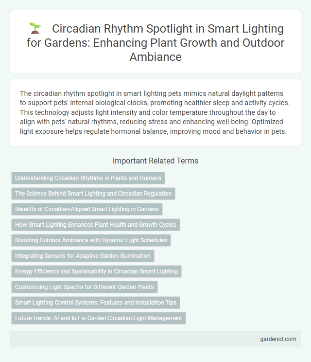 Circadian Rhythm Spotlight in Smart Lighting for Gardens: Enhancing Plant Growth and Outdoor Ambiance