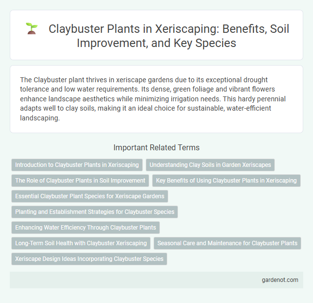 Claybuster Plants in Xeriscaping: Benefits, Soil Improvement, and Key Species