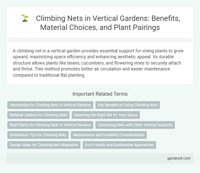 Climbing Nets in Vertical Gardens: Benefits, Material Choices, and Plant Pairings
