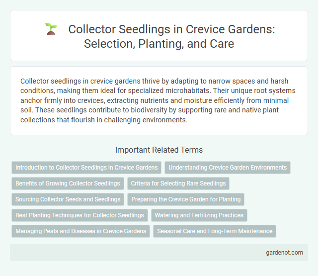 Collector Seedlings in Crevice Gardens: Selection, Planting, and Care
