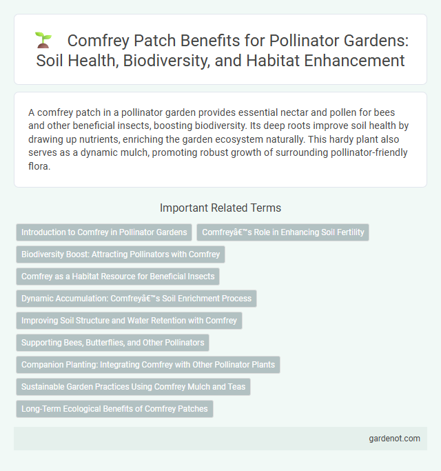 Comfrey Patch Benefits for Pollinator Gardens: Soil Health, Biodiversity, and Habitat Enhancement