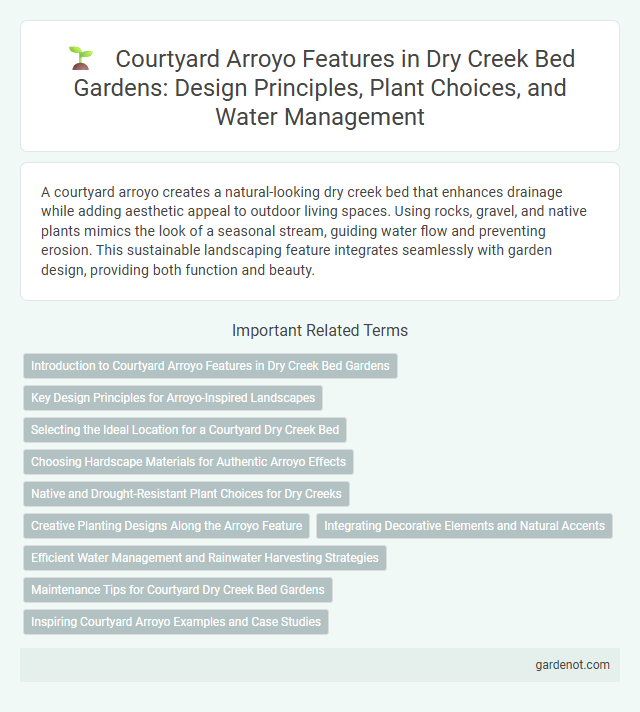 Courtyard Arroyo Features in Dry Creek Bed Gardens: Design Principles, Plant Choices, and Water Management