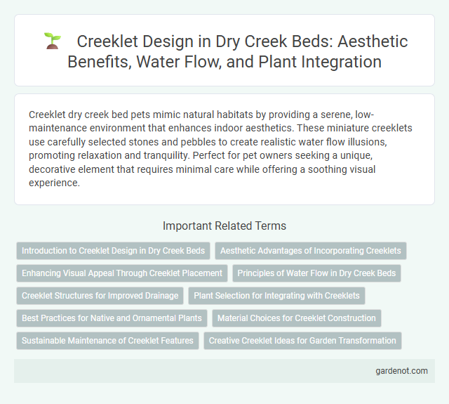 Creeklet Design in Dry Creek Beds: Aesthetic Benefits, Water Flow, and Plant Integration