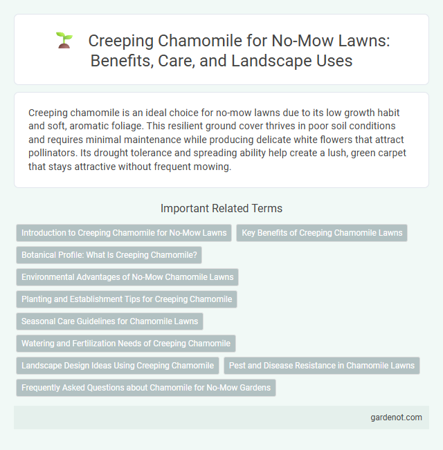 Creeping Chamomile for No-Mow Lawns: Benefits, Care, and Landscape Uses