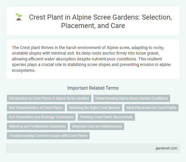 Crest Plant in Alpine Scree Gardens: Selection, Placement, and Care