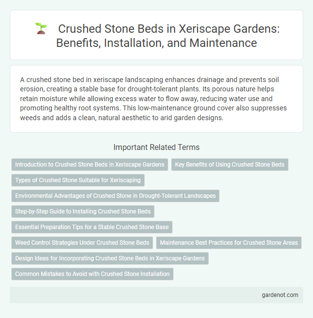 Crushed Stone Beds in Xeriscape Gardens: Benefits, Installation, and Maintenance