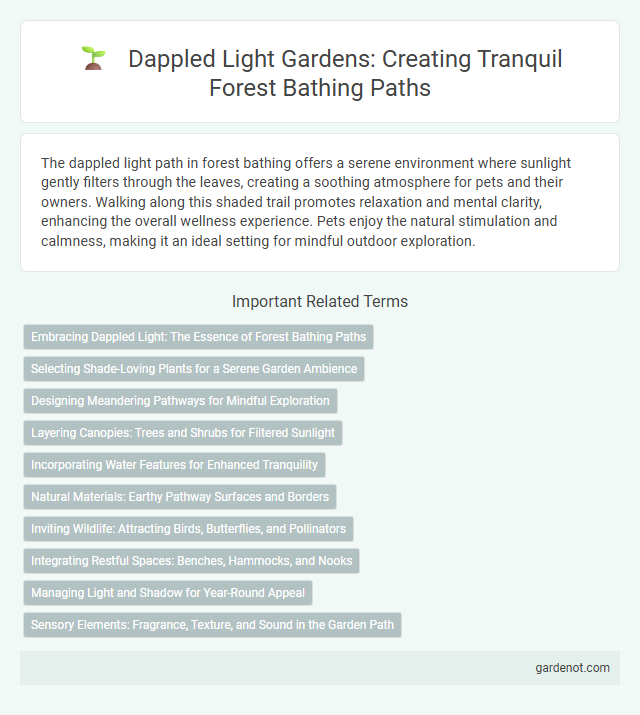 Dappled Light Gardens: Creating Tranquil Forest Bathing Paths