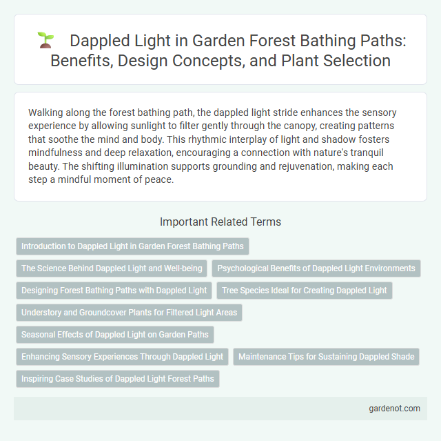 Dappled Light in Garden Forest Bathing Paths: Benefits, Design Concepts, and Plant Selection