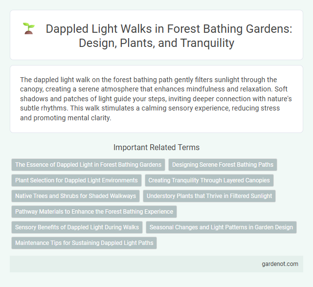 Dappled Light Walks in Forest Bathing Gardens: Design, Plants, and Tranquility