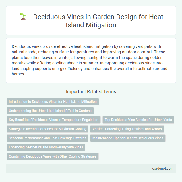 Deciduous Vines in Garden Design for Heat Island Mitigation