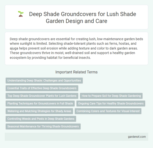 Deep Shade Groundcovers for Lush Shade Garden Design and Care