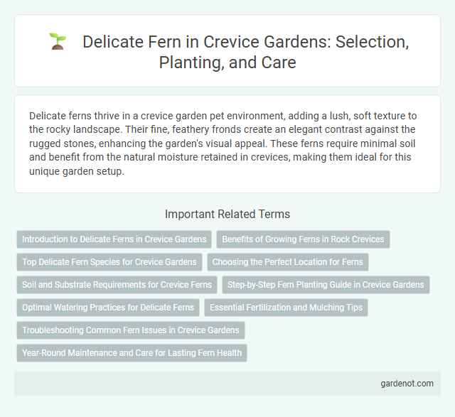 Delicate Fern in Crevice Gardens: Selection, Planting, and Care