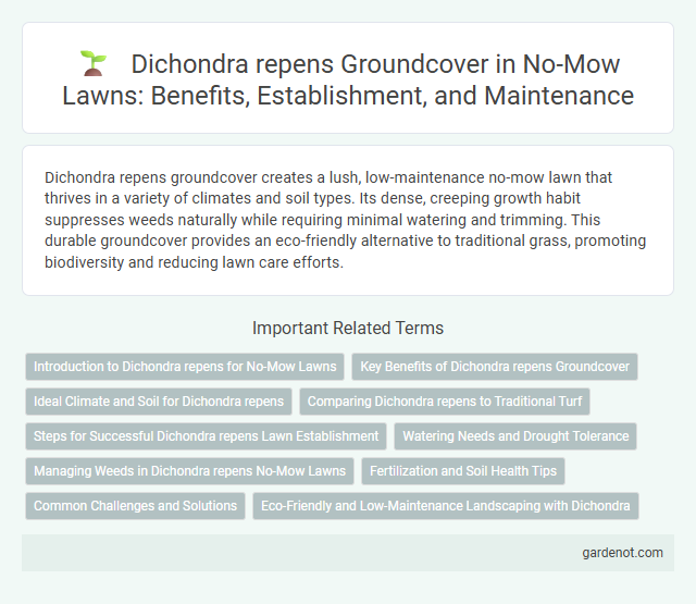Dichondra repens Groundcover in No-Mow Lawns: Benefits, Establishment, and Maintenance