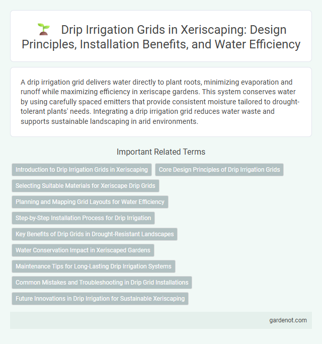 Drip Irrigation Grids in Xeriscaping: Design Principles, Installation Benefits, and Water Efficiency