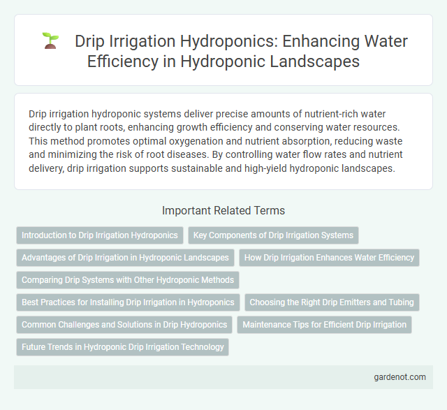 Drip Irrigation Hydroponics: Enhancing Water Efficiency in Hydroponic Landscapes