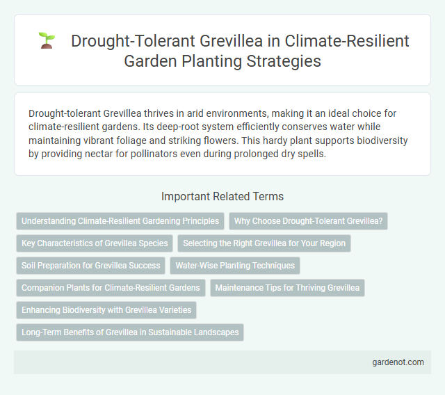 Drought-Tolerant Grevillea in Climate-Resilient Garden Planting Strategies