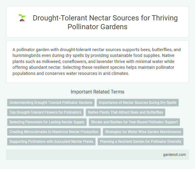 Drought-Tolerant Nectar Sources for Thriving Pollinator Gardens