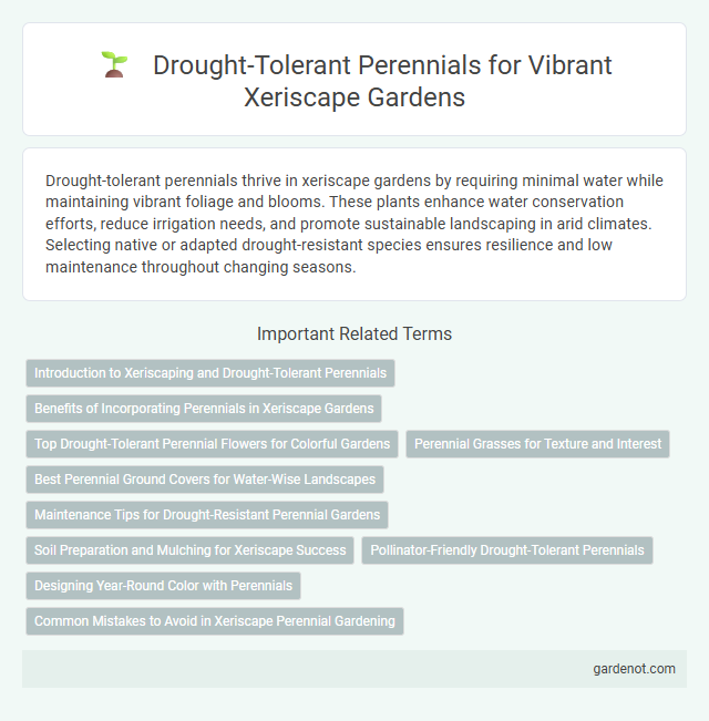 Drought-Tolerant Perennials for Vibrant Xeriscape Gardens