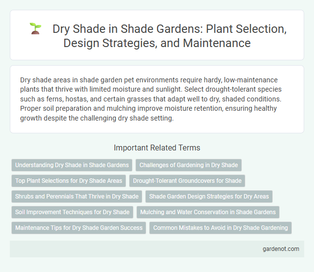 Dry Shade in Shade Gardens: Plant Selection, Design Strategies, and Maintenance