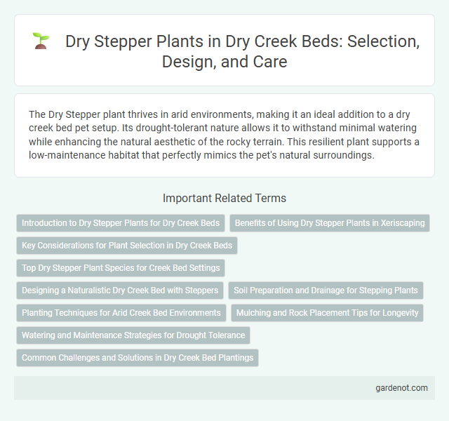 Dry Stepper Plants in Dry Creek Beds: Selection, Design, and Care