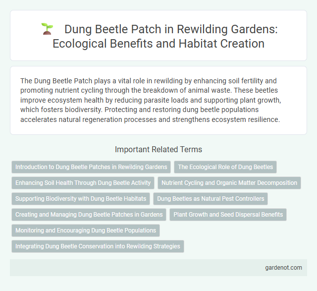 Dung Beetle Patch in Rewilding Gardens: Ecological Benefits and Habitat Creation