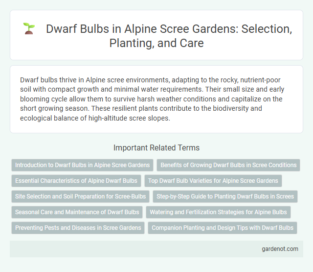 Dwarf Bulbs in Alpine Scree Gardens: Selection, Planting, and Care