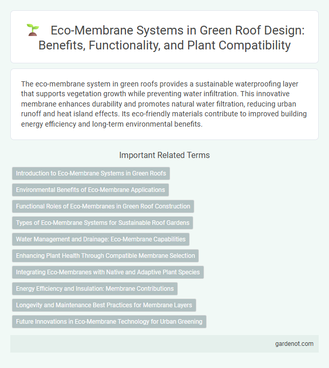 Eco-Membrane Systems in Green Roof Design: Benefits, Functionality, and Plant Compatibility