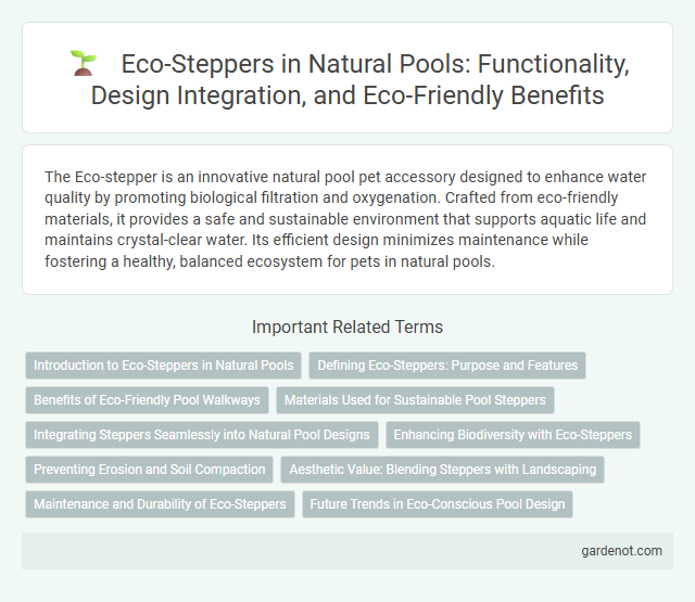Eco-Steppers in Natural Pools: Functionality, Design Integration, and Eco-Friendly Benefits