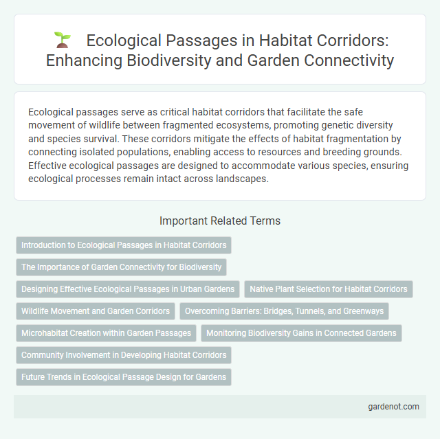 Ecological Passages in Habitat Corridors: Enhancing Biodiversity and Garden Connectivity
