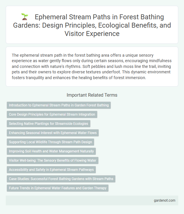 Ephemeral Stream Paths in Forest Bathing Gardens: Design Principles, Ecological Benefits, and Visitor Experience