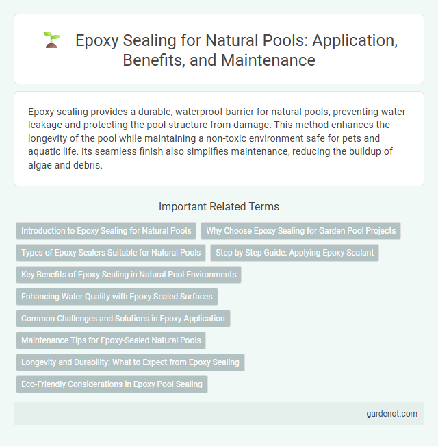 Epoxy Sealing for Natural Pools: Application, Benefits, and Maintenance