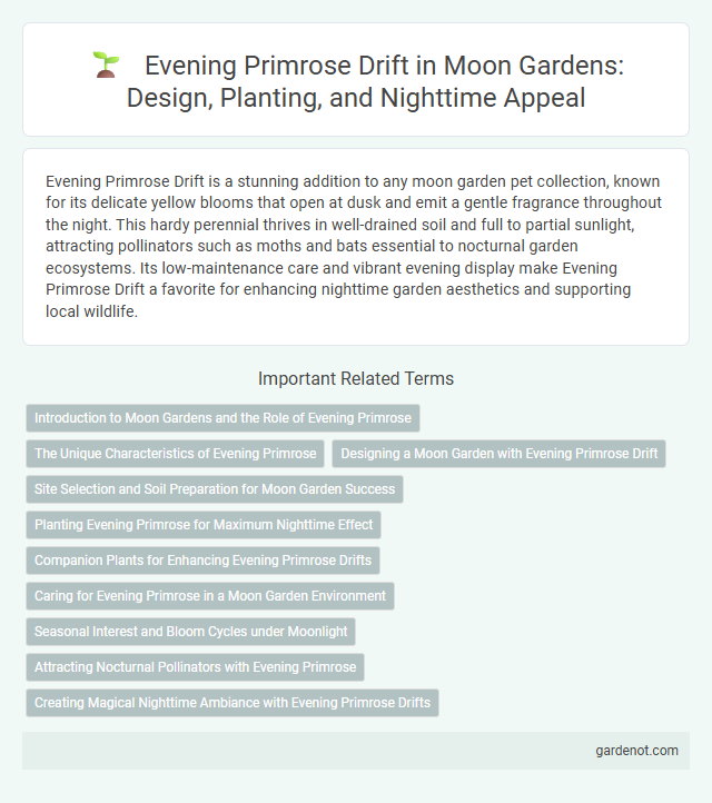 Evening Primrose Drift in Moon Gardens: Design, Planting, and Nighttime Appeal