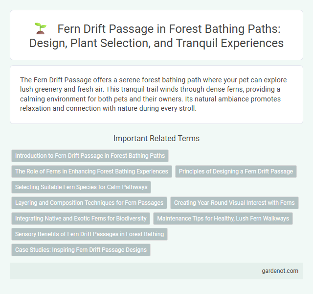 Fern Drift Passage in Forest Bathing Paths: Design, Plant Selection, and Tranquil Experiences