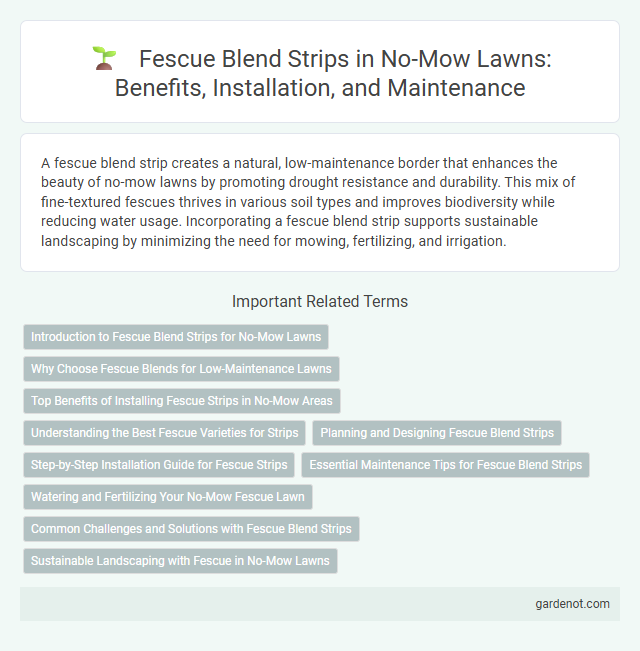 Fescue Blend Strips in No-Mow Lawns: Benefits, Installation, and Maintenance
