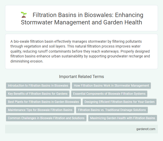 Filtration Basins in Bioswales: Enhancing Stormwater Management and Garden Health