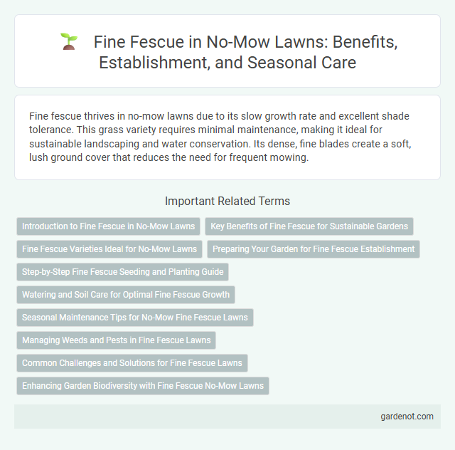 Fine Fescue in No-Mow Lawns: Benefits, Establishment, and Seasonal Care