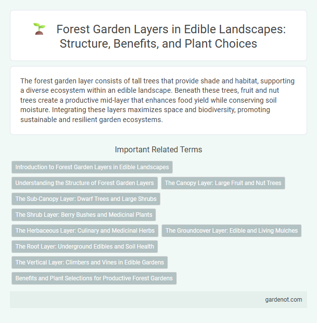 Forest Garden Layers in Edible Landscapes: Structure, Benefits, and Plant Choices