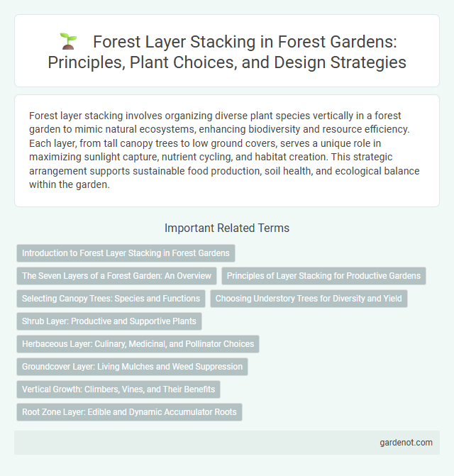 Forest Layer Stacking in Forest Gardens: Principles, Plant Choices, and Design Strategies