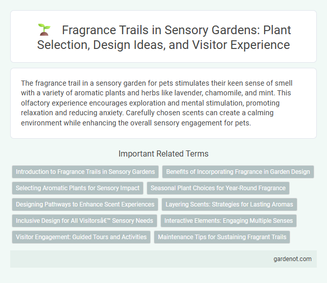 Fragrance Trails in Sensory Gardens: Plant Selection, Design Ideas, and Visitor Experience
