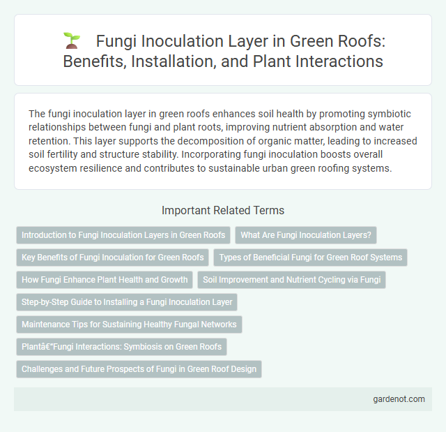 Fungi Inoculation Layer in Green Roofs: Benefits, Installation, and Plant Interactions
