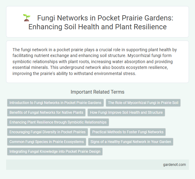 Fungi Networks in Pocket Prairie Gardens: Enhancing Soil Health and Plant Resilience