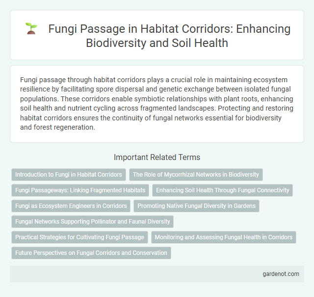 Fungi Passage in Habitat Corridors: Enhancing Biodiversity and Soil Health