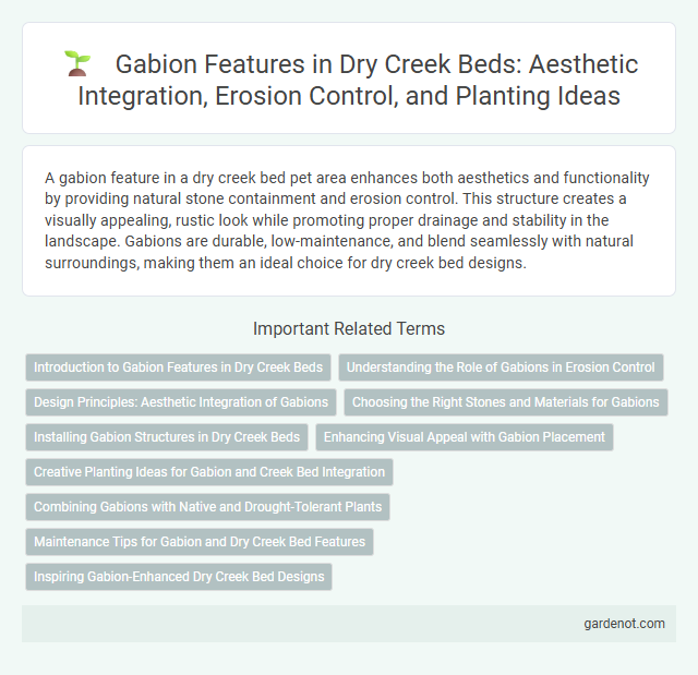 Gabion Features in Dry Creek Beds: Aesthetic Integration, Erosion Control, and Planting Ideas
