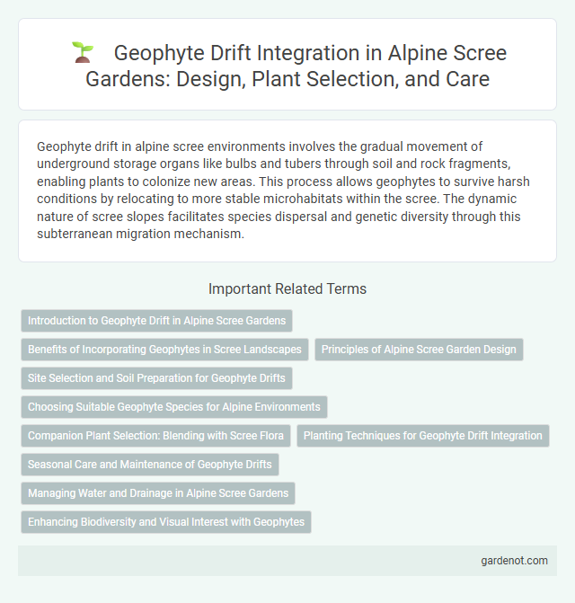 Geophyte Drift Integration in Alpine Scree Gardens: Design, Plant Selection, and Care