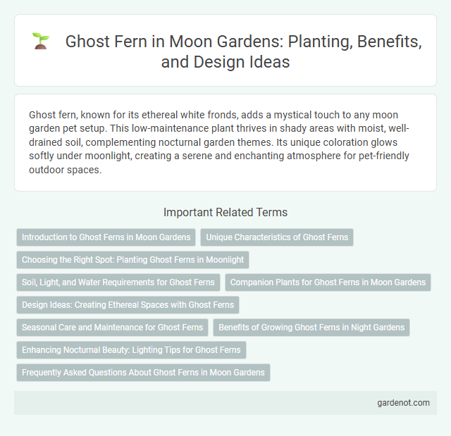 Ghost Fern in Moon Gardens: Planting, Benefits, and Design Ideas