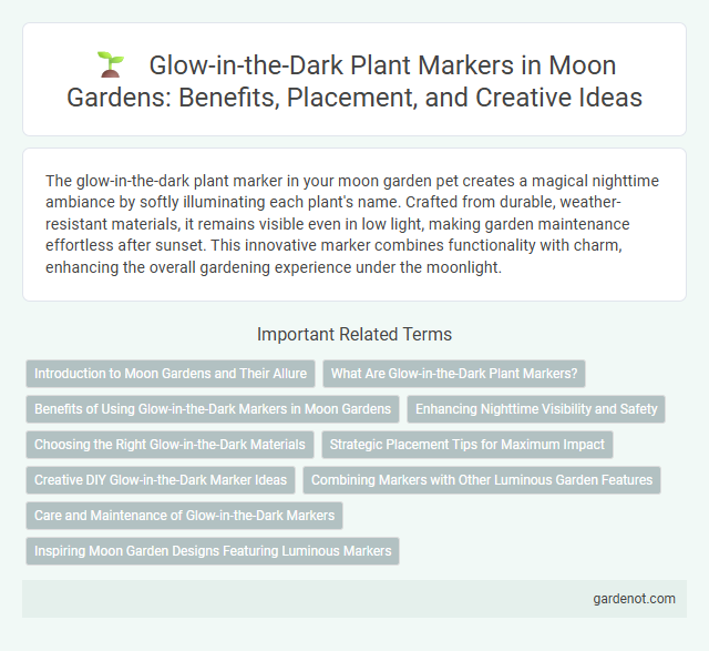 Glow-in-the-Dark Plant Markers in Moon Gardens: Benefits, Placement, and Creative Ideas